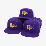 Elite Purple Fraternity Logo Cap