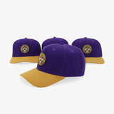 High-End Embroidered Ivy SnapBack