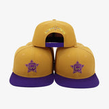 Best Purple Fraternity Logo Hat