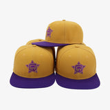 High-End Embroidered Q-STAR SnapBack